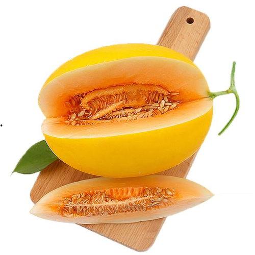 吃蜜瓜嘴里苦苦的