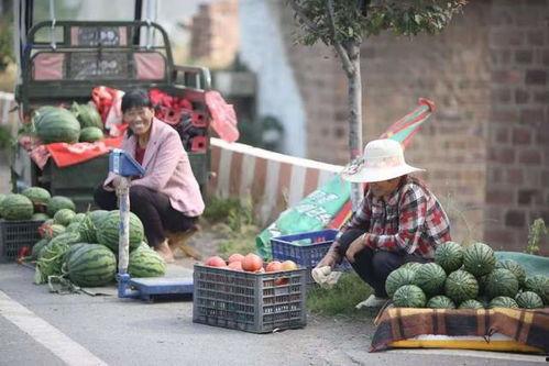 襄城县吃瓜,探寻当地特色美食之旅