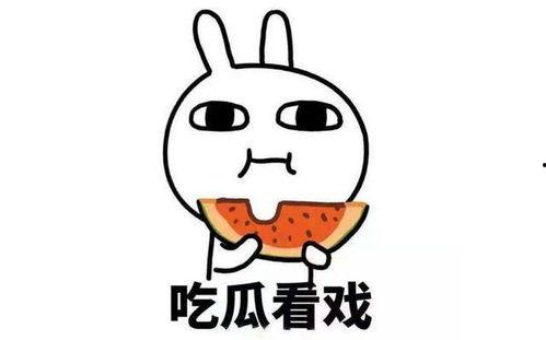 赶不上吃瓜