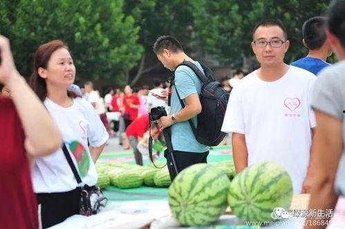现场吃瓜西站,揭秘西站美食盛宴