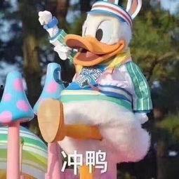 暴雪斗鱼吃瓜,一场电竞圈的狂欢盛宴