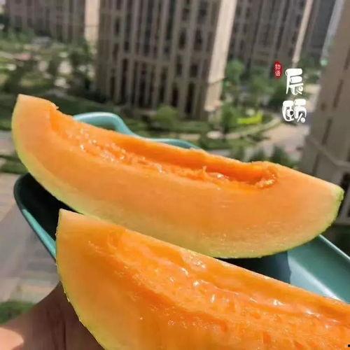 吃瓜导航站
