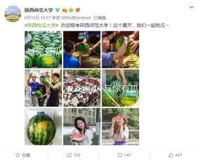 高校免费吃瓜网站,揭秘校园生活趣味瞬间