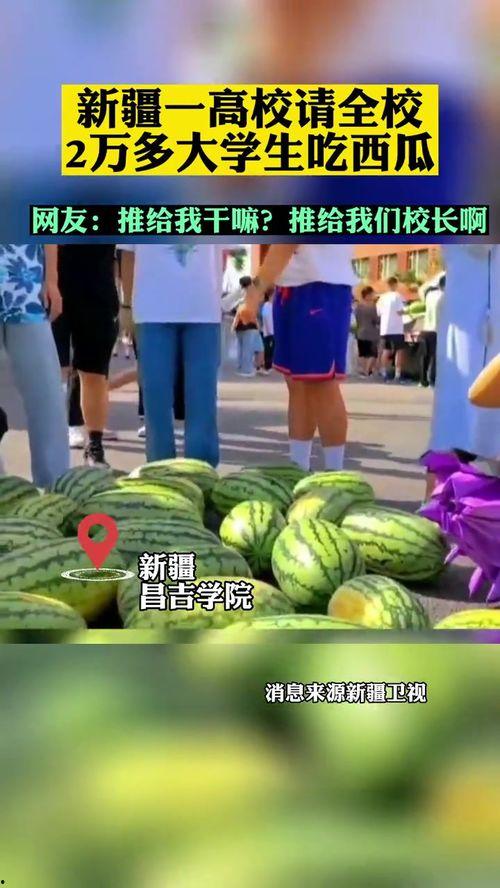 高校免费吃瓜网站,揭秘校园生活趣味瞬间