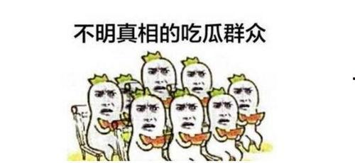 容城吃瓜群众新闻,最新新闻事件深度解析