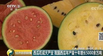 中国吃瓜都有什么,趣味横生的社会现象解析
