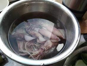 海兔吃瓜,探索海洋生物的独特饮食习惯