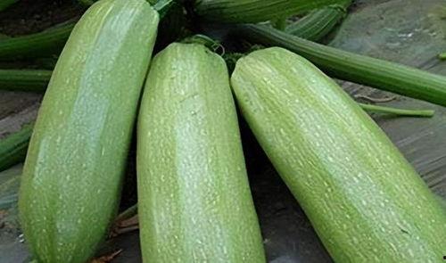 一只瓜怎么吃