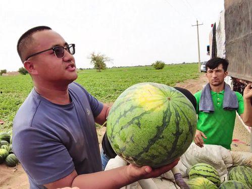 吃瓜李含语,揭秘娱乐圈背后的故事